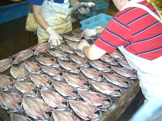 �M�t�g�p�̏��i���J��