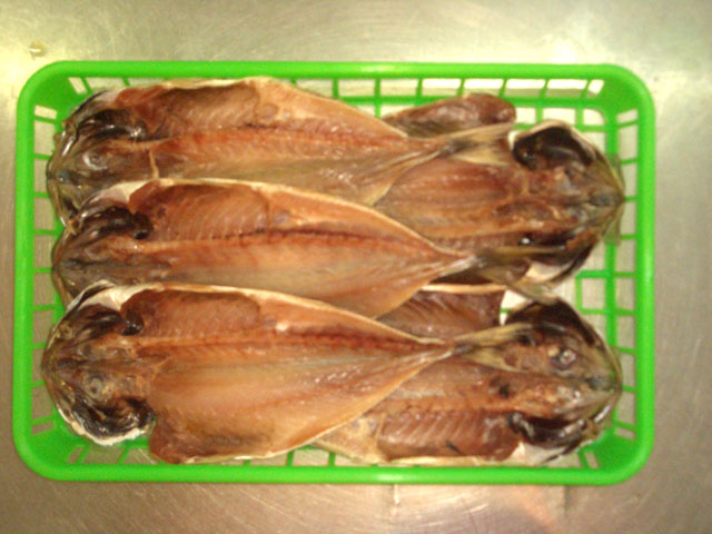 �������H�͂��܂�����������