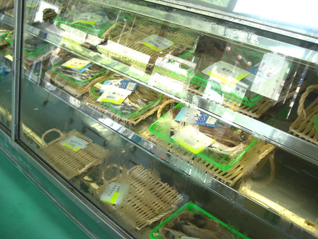 �~�c�_���Y�@�������`�X